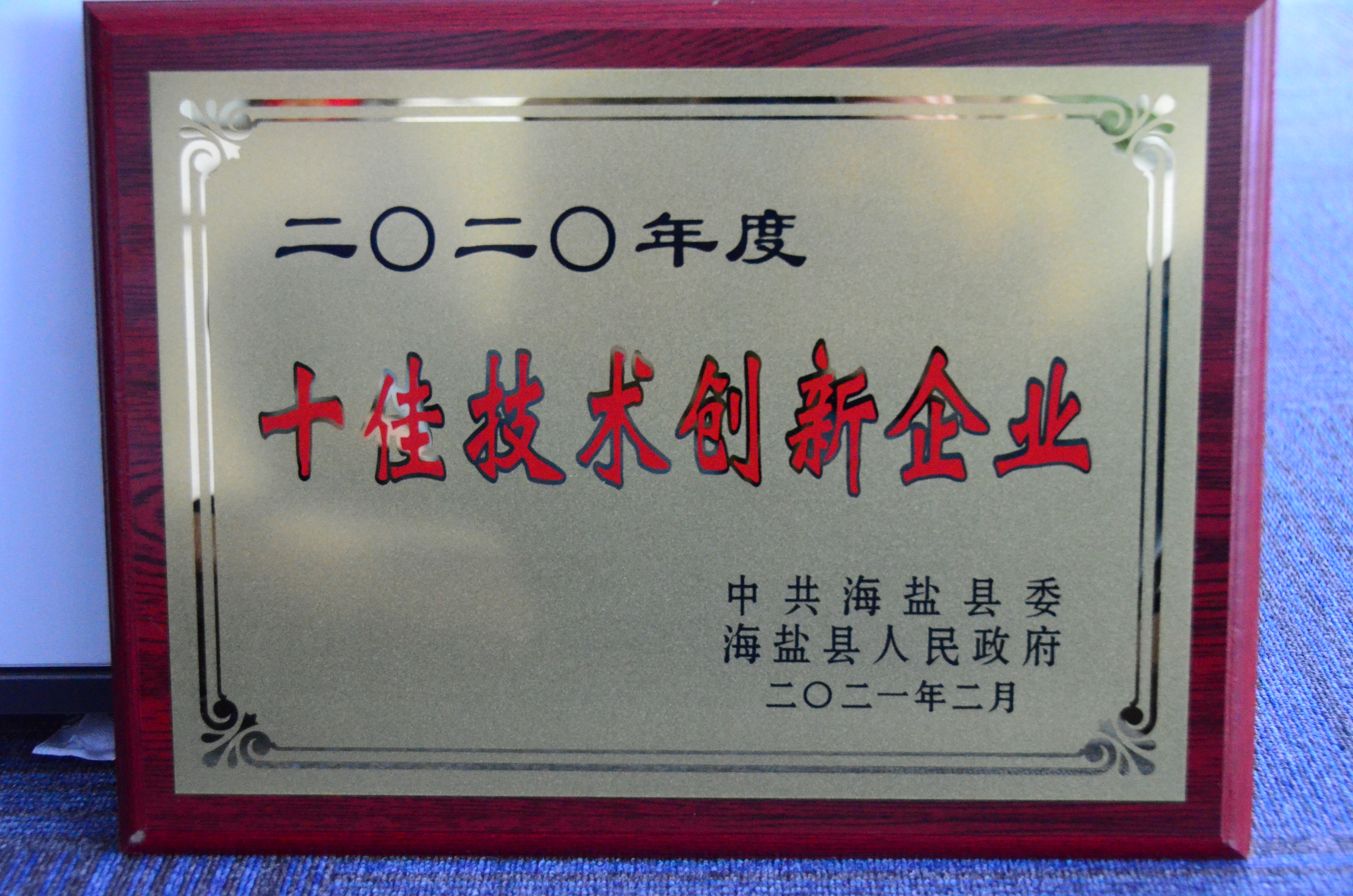 縣級十佳技術(shù)創(chuàng)新企業(yè) 縣級十佳技術(shù)創(chuàng)新企業(yè)