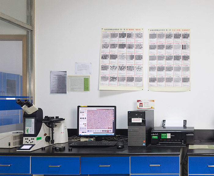 金相分析-低倍組織評級 金相分析-低倍組織評級